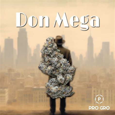 don mega strain|pro gro don mega.